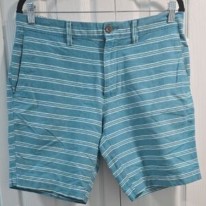 Banana Republic Teal Striped Men's Shorts